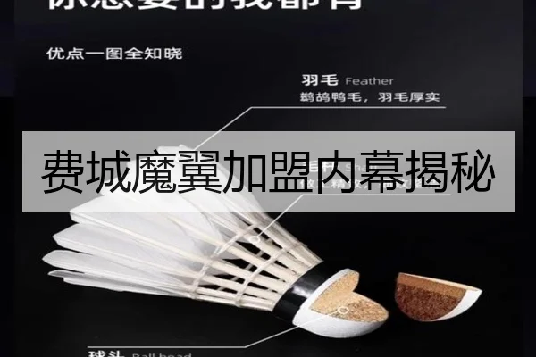 费城魔翼加盟内幕揭秘
